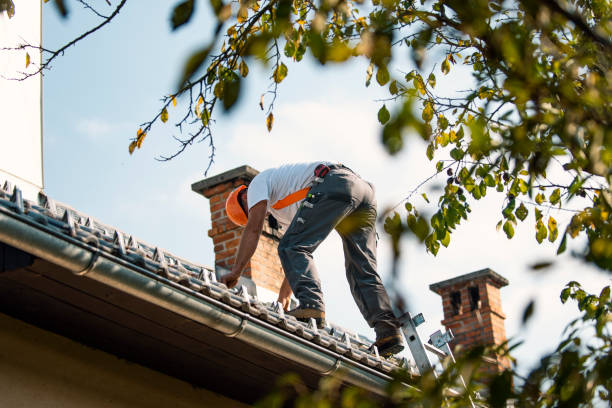 Best Roof Moss and Algae Removal  in Kentland, IN