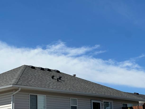 Best Asphalt Shingle Roofing  in Kentland, IN